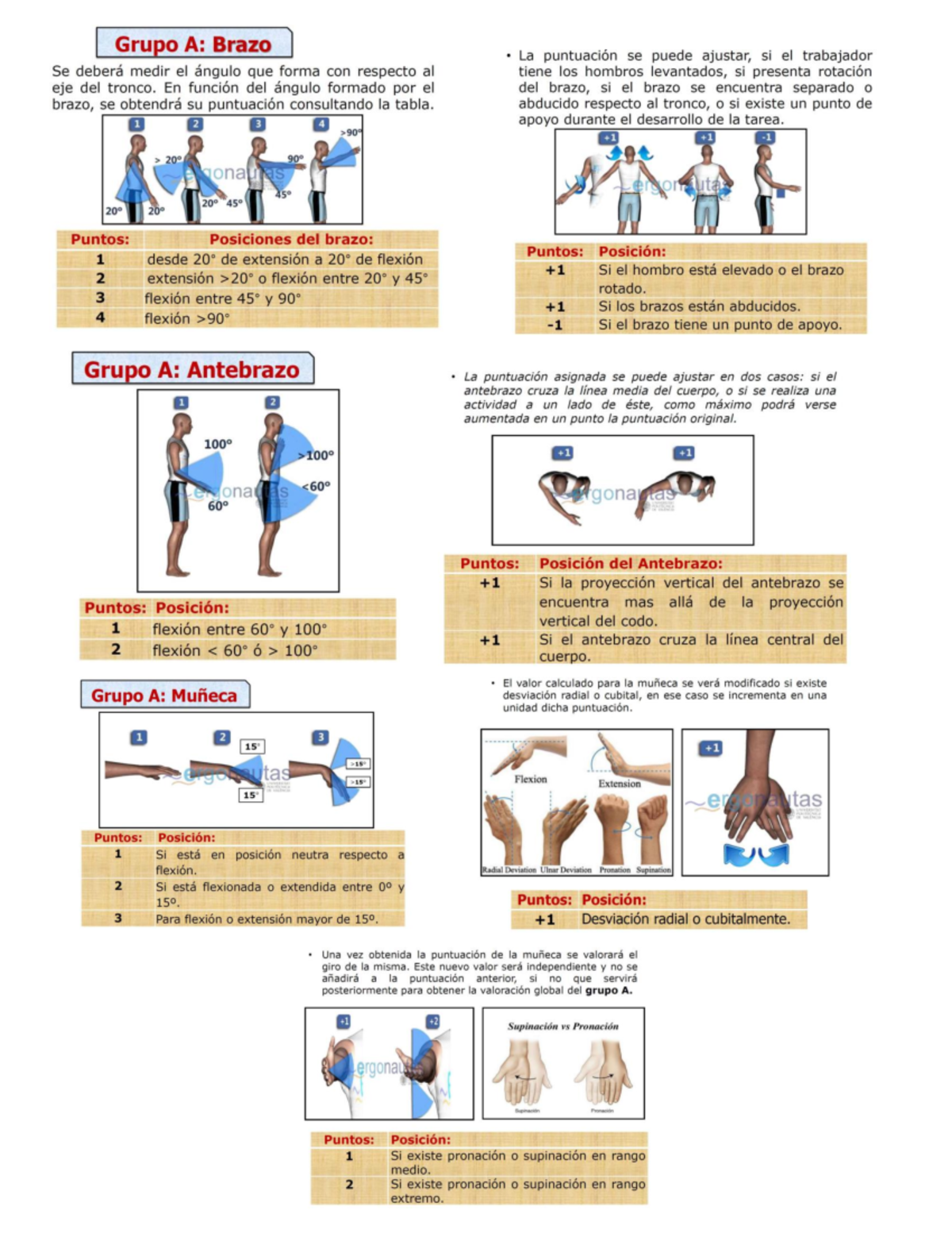 OWAS, RULA, REBA - Métodos de OWAS, RULA, REBA - Ergonomía y Estudio ...