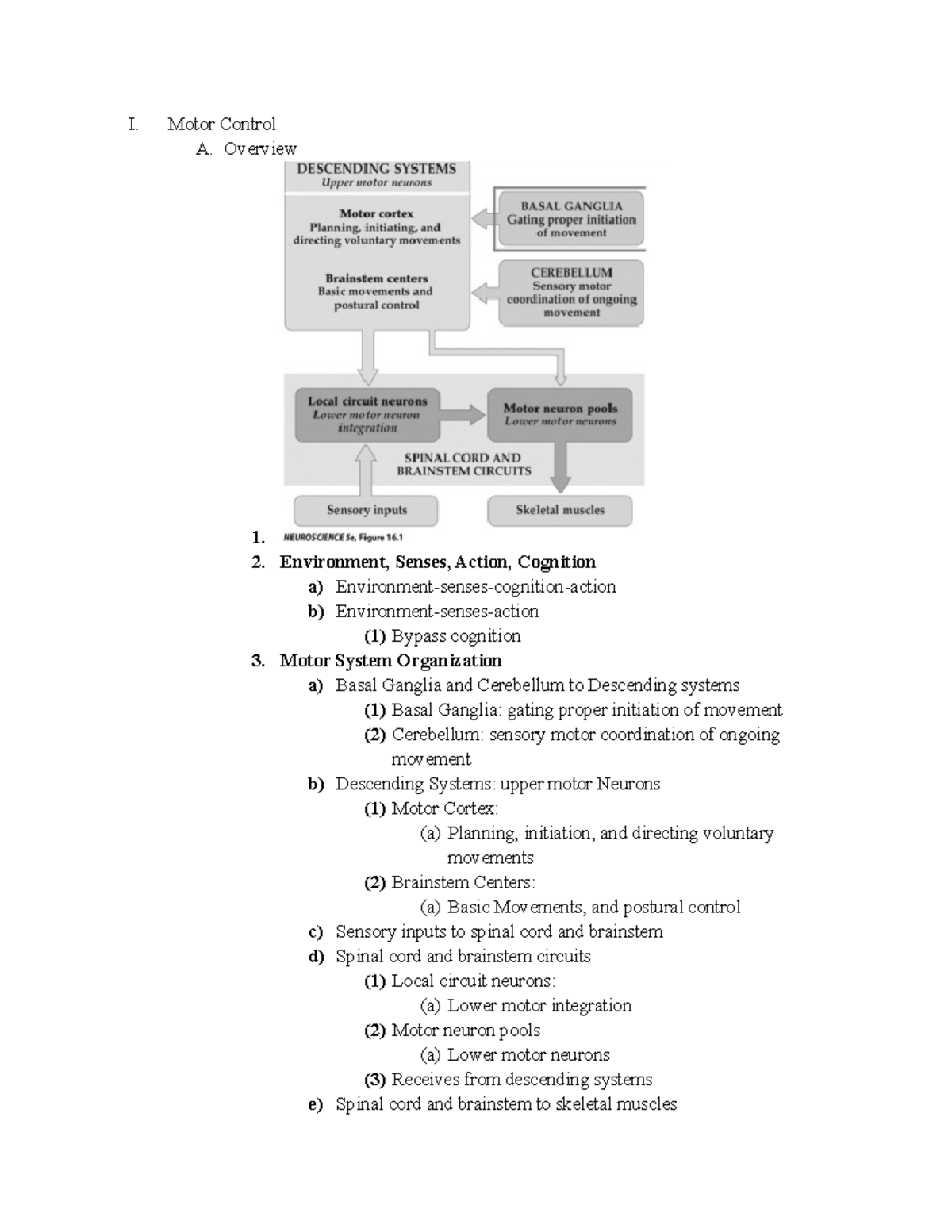 Motor Control - I. Motor Control A. Overview 1. Environment, Senses ...