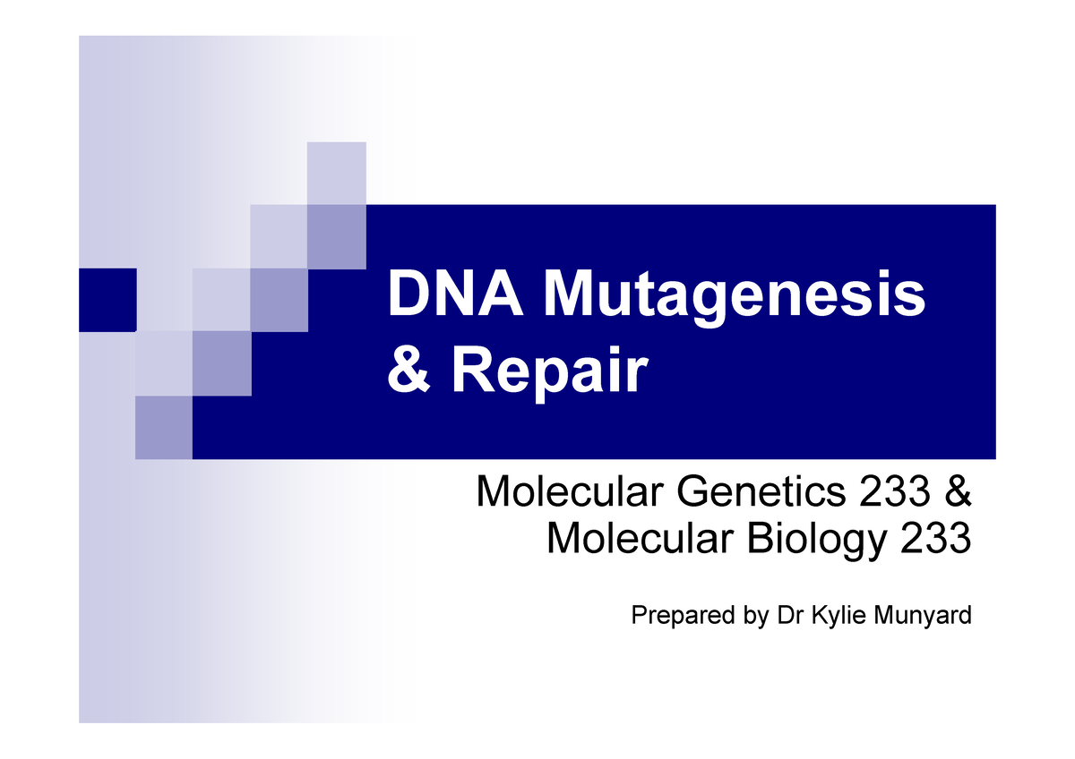 DNA Mutagenesis & Repair - DNA Mutagenesis & Repair Molecular Genetics ...