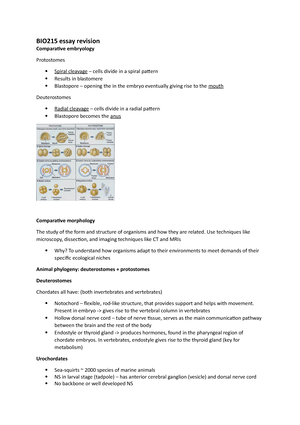 BIO215 Week 4 - NEUROPEPTIDE SIGNALLING - BIO215 - COMPARATIVE ...