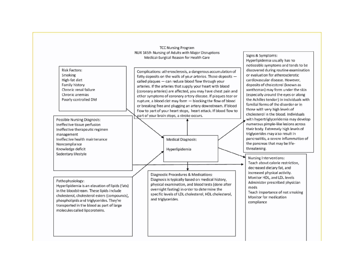 Concept Map Example - map - APN 101 - Studocu