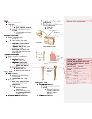 Head and Neck Traumas - Lecture notes 7-8 - OVERVIEW Regional ...