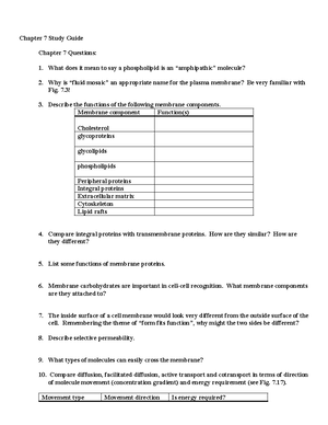 Protein Analysis Data lab - Protein Analysis Lab Worksheet Provide a ...