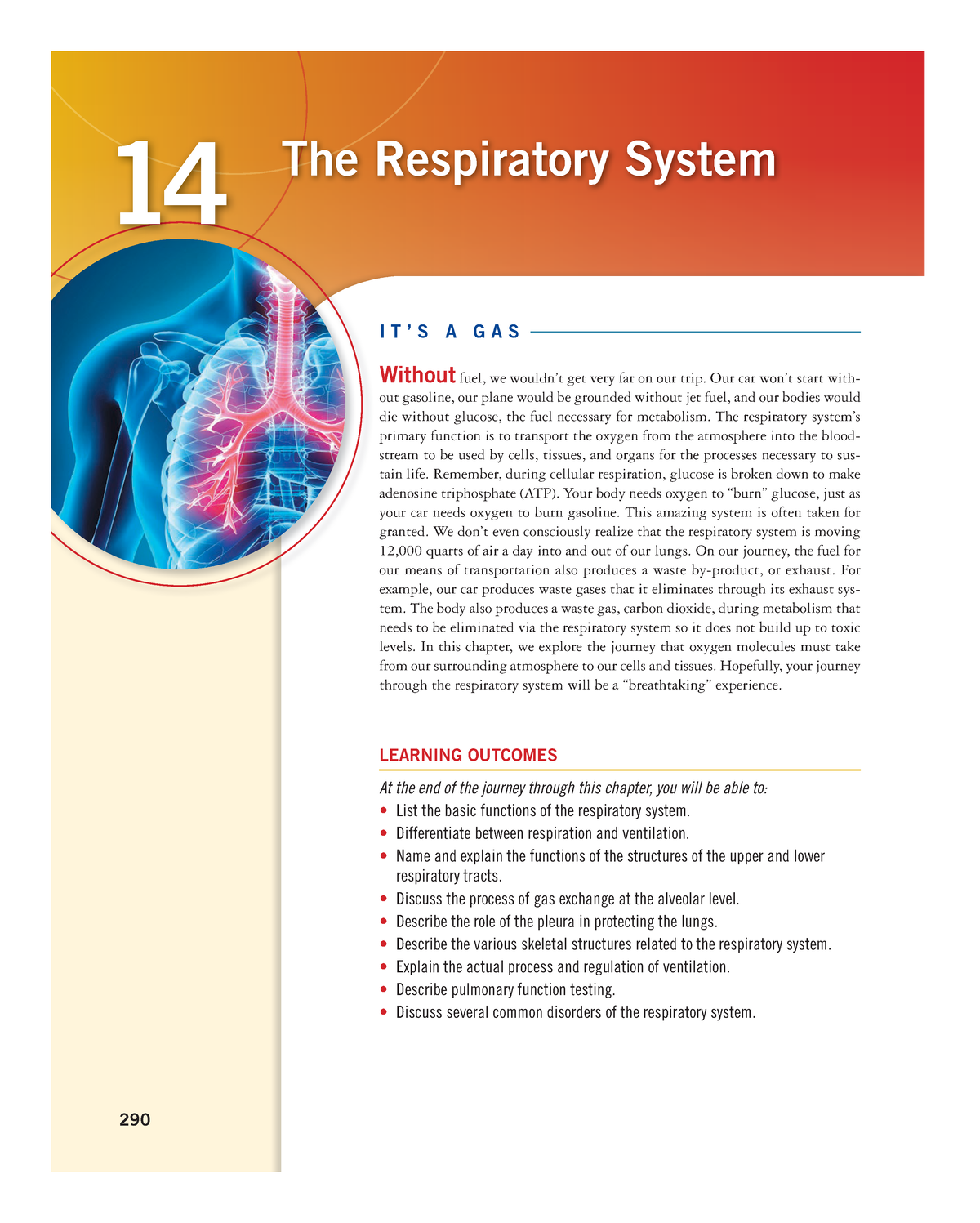 0134876814 Respiratory system anatomical structures and functions - 290 ...