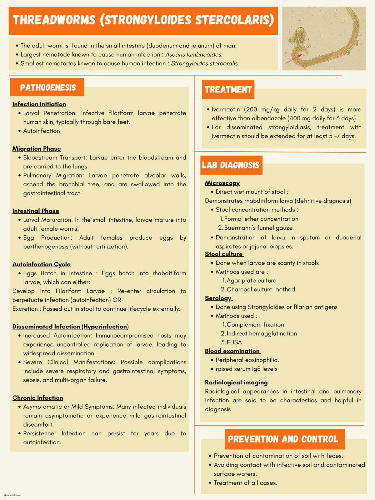 Geohelminth poster - THREADWORMS (STRONGYLOIDES STERCOLARIS) TREATMENT ...