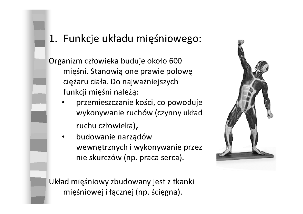 Budowa I Funkcje Liścia Prezentacja UKŁAD MIĘŚŃIOWY Prezka - 1. Funkcje układu mięśniowego: Organizm