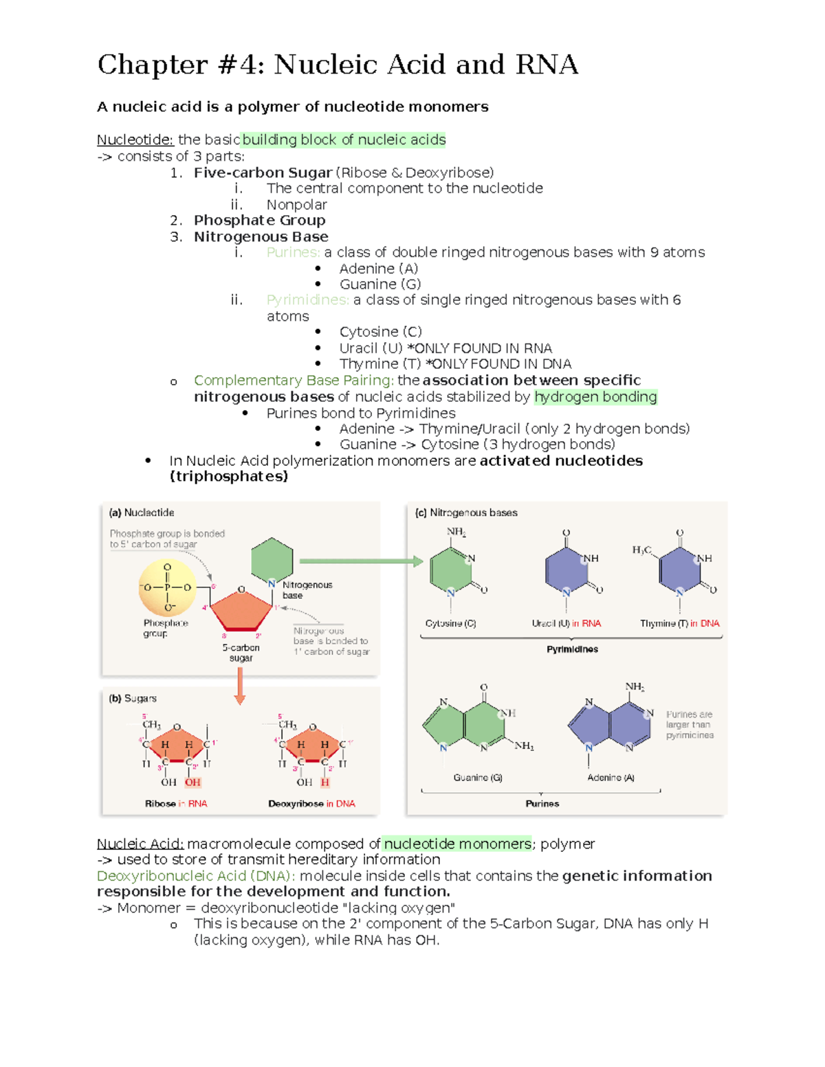Chapter 4 Chapter 4 Nucleic Acid and RNA A nucleic acid is a