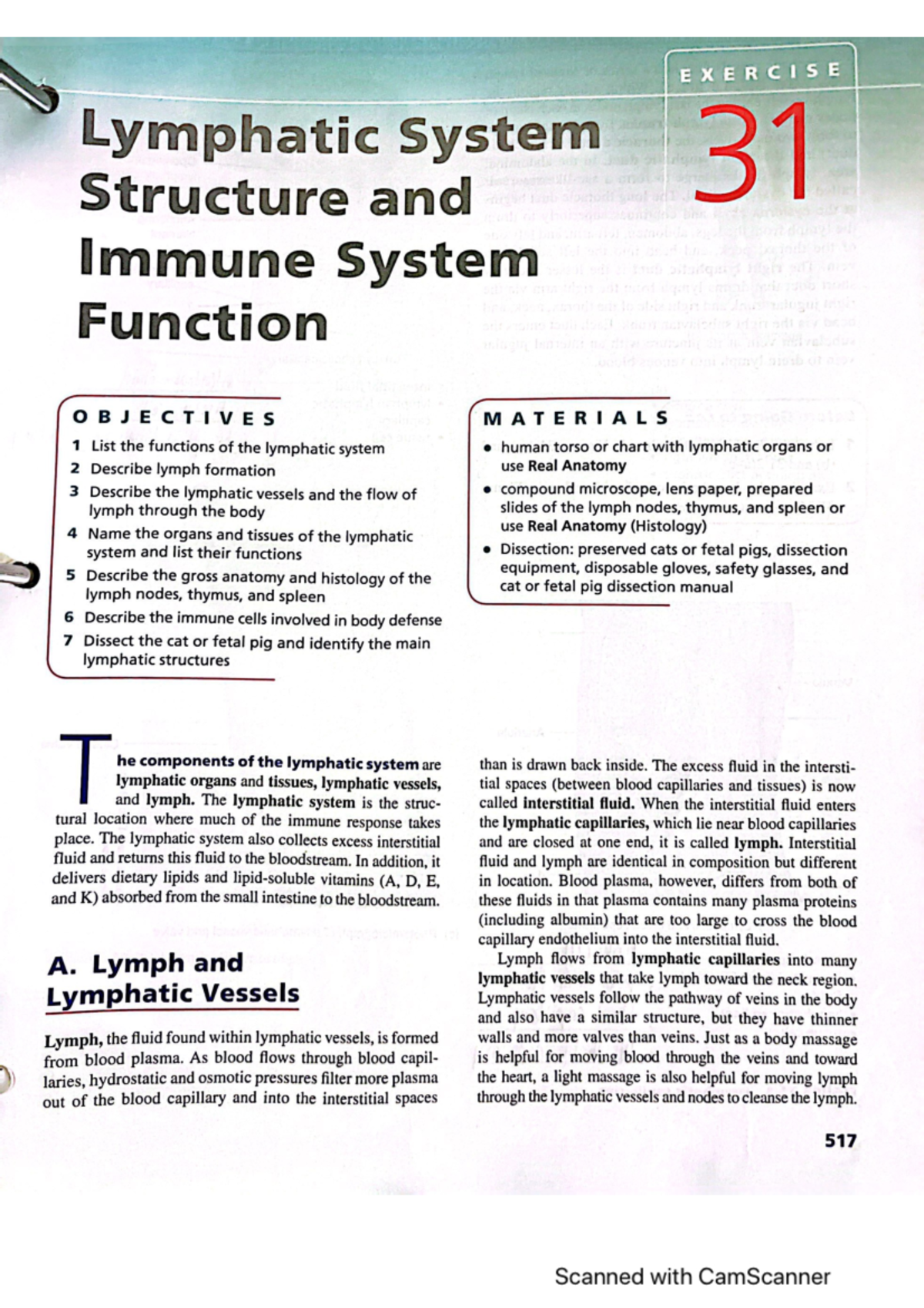 Lymphatic system structure and immune sy - EXERCISE Lymphatic System 31 ...