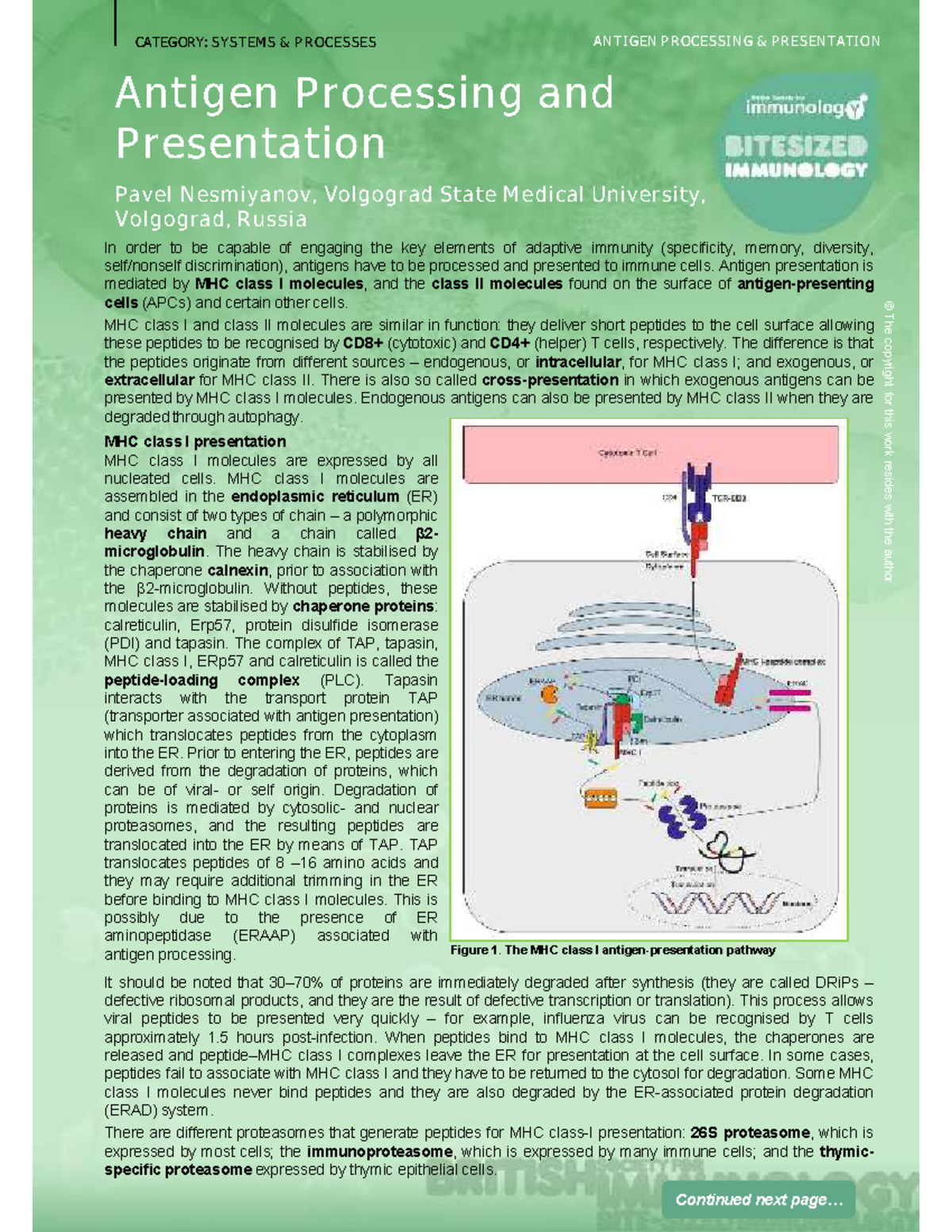 Antigen processing and presentation - CATEGORY: SYSTEMS & PROCESSES ...