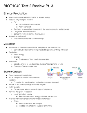 Unit 1 Principles of Molecular Biology & Gene Expression ...