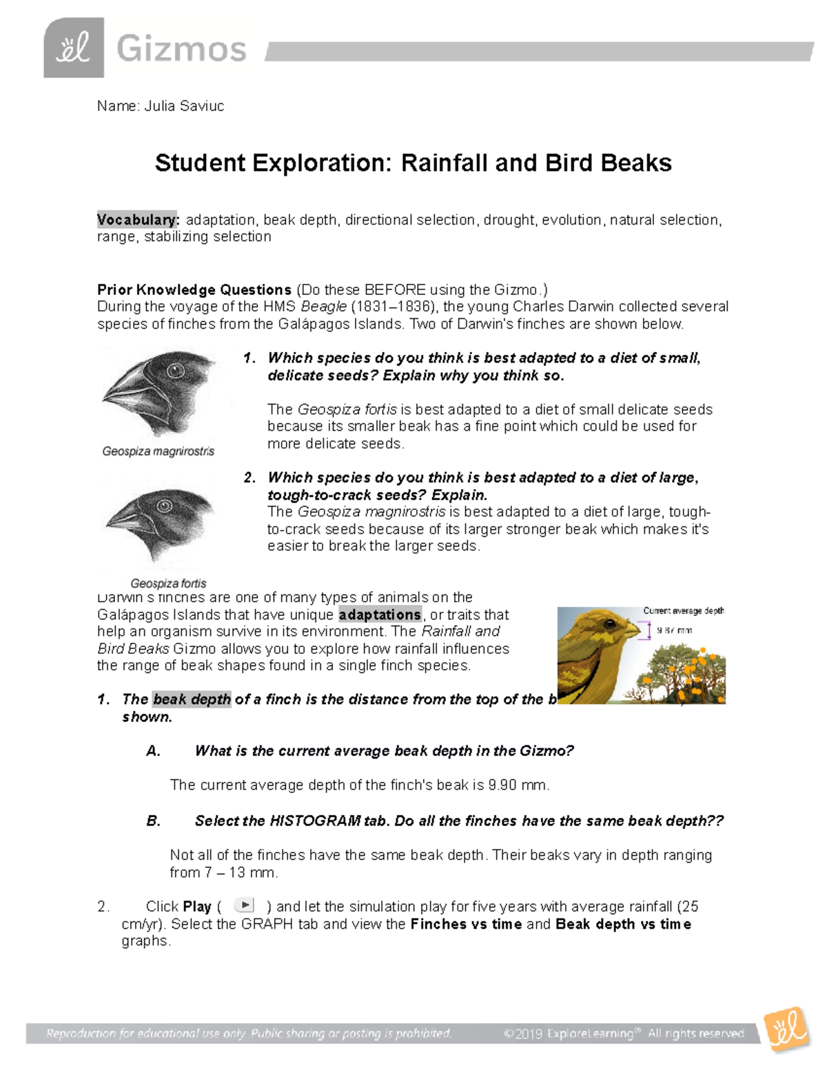 Rainfall Bird Metric SE (1) - Name: Julia Saviuc Student Exploration ...