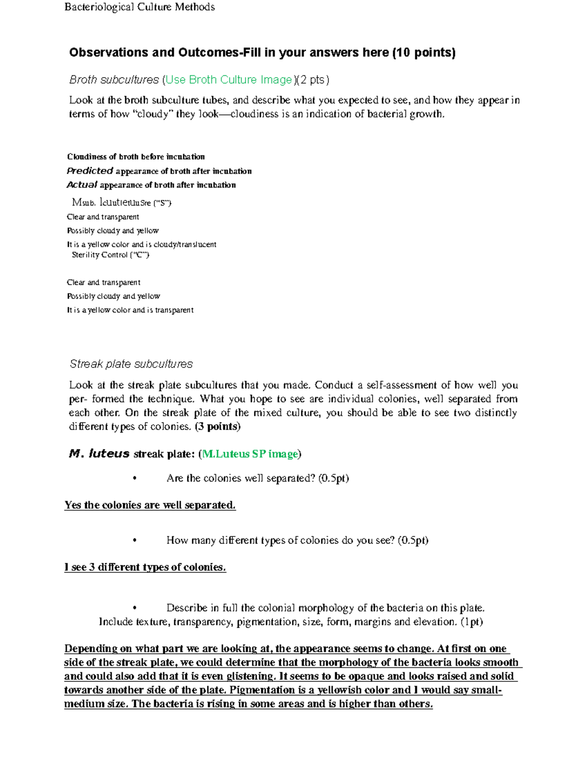 Lab for Lecture Chemistry for University Bacteriological Culture