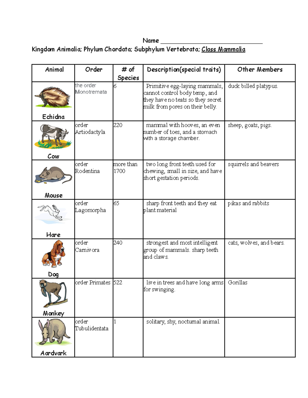 Mammal orders - Name ___________________________ Kingdom Animalia ...