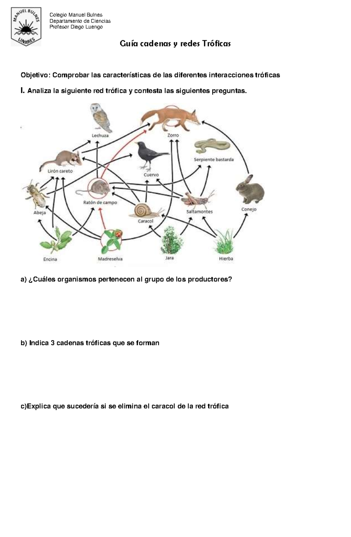 Guía Ciencias N°7 6° Básico Interaciones Troficas - GuÌa Cadenas Y ...