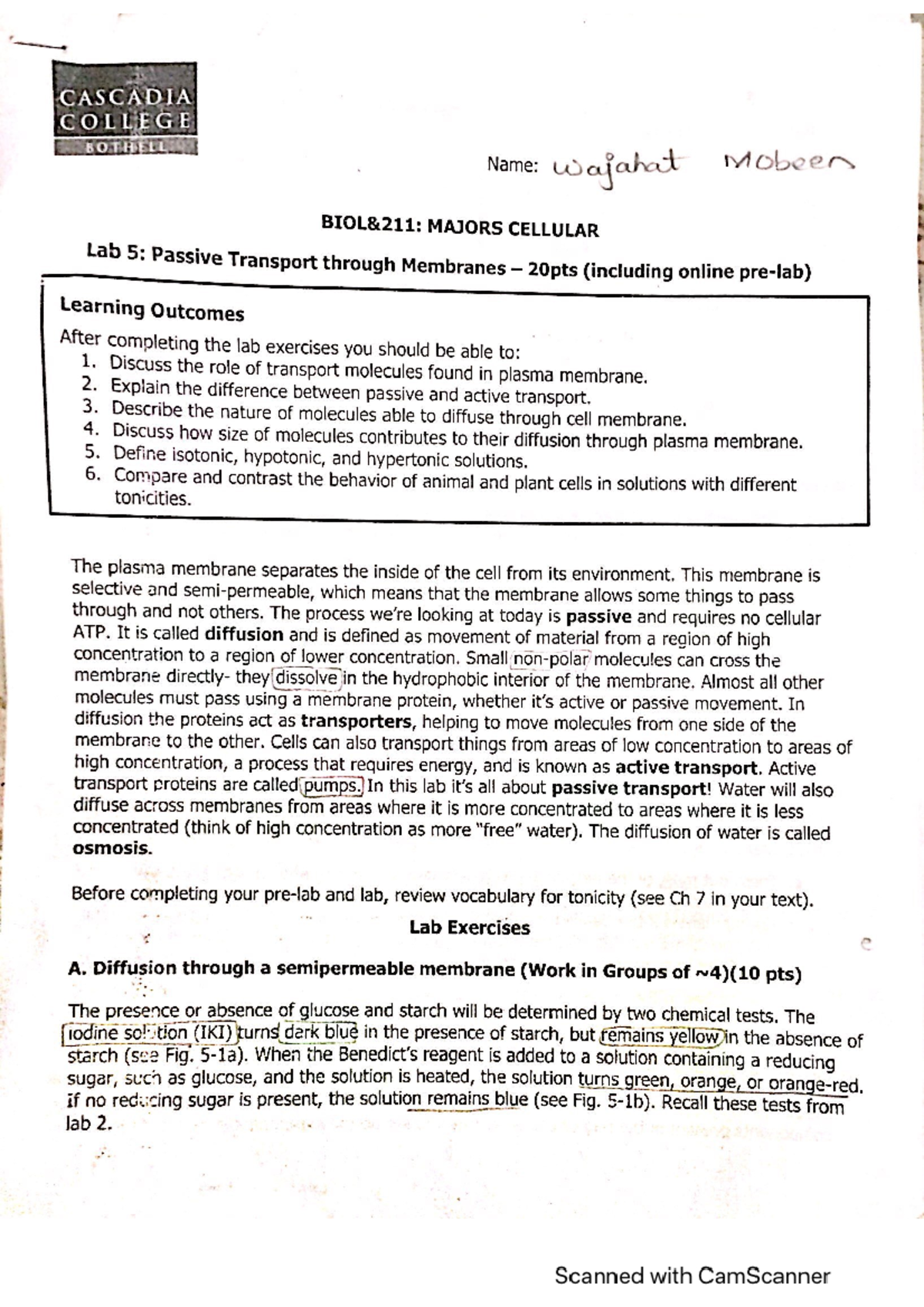 Lab 5 - notes - CASCADIA COLLEGE BOTHELL Name: wajahat Mobeen MAJORS ...