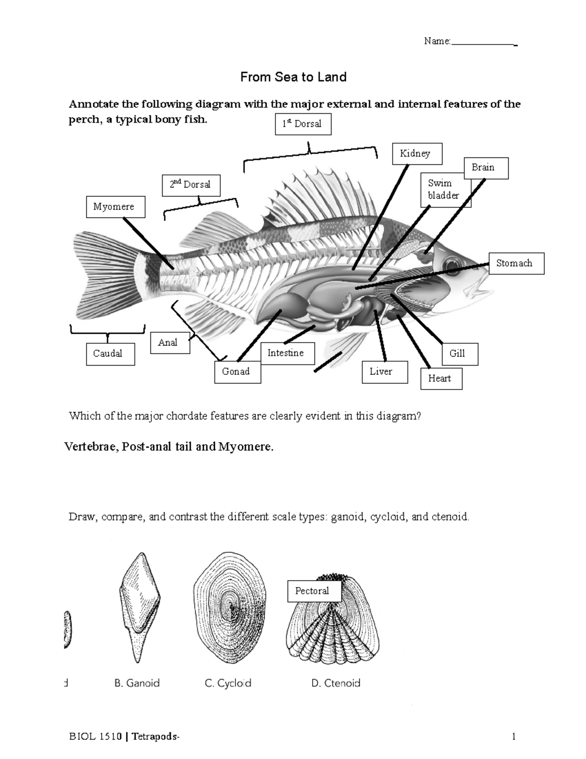 Lab 12 Worksheet Sea to land - Name: _ From Sea to Land Annotate the ...