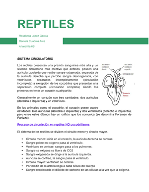 Table Síndromes Medulares-Manual MSD Versión Para Profesionales ...