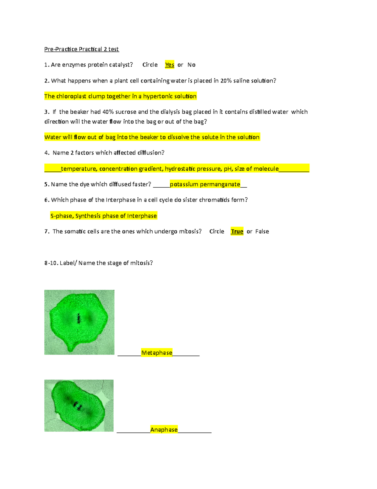 BIOL 1406 Lab Practicle 2 Exam Probs PrePractice Practical 2 test