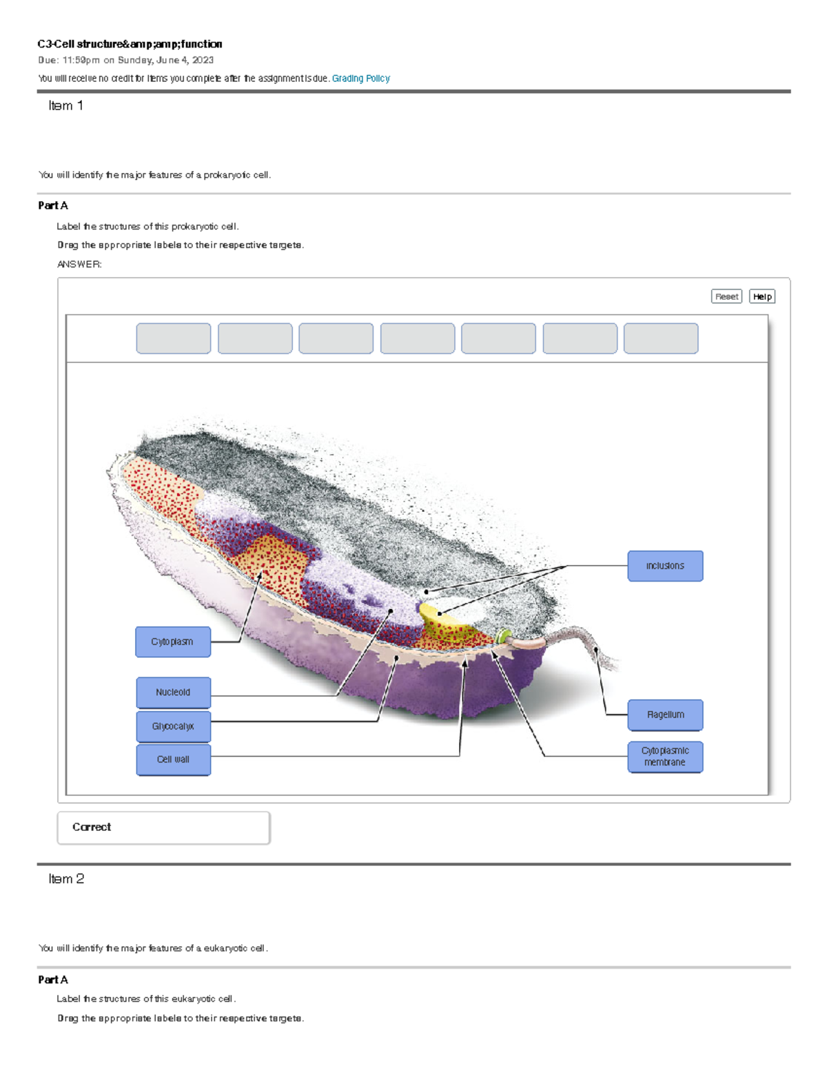 C3-Cell structure&function - C3-Cell structure&amp;function Due: 11 ...