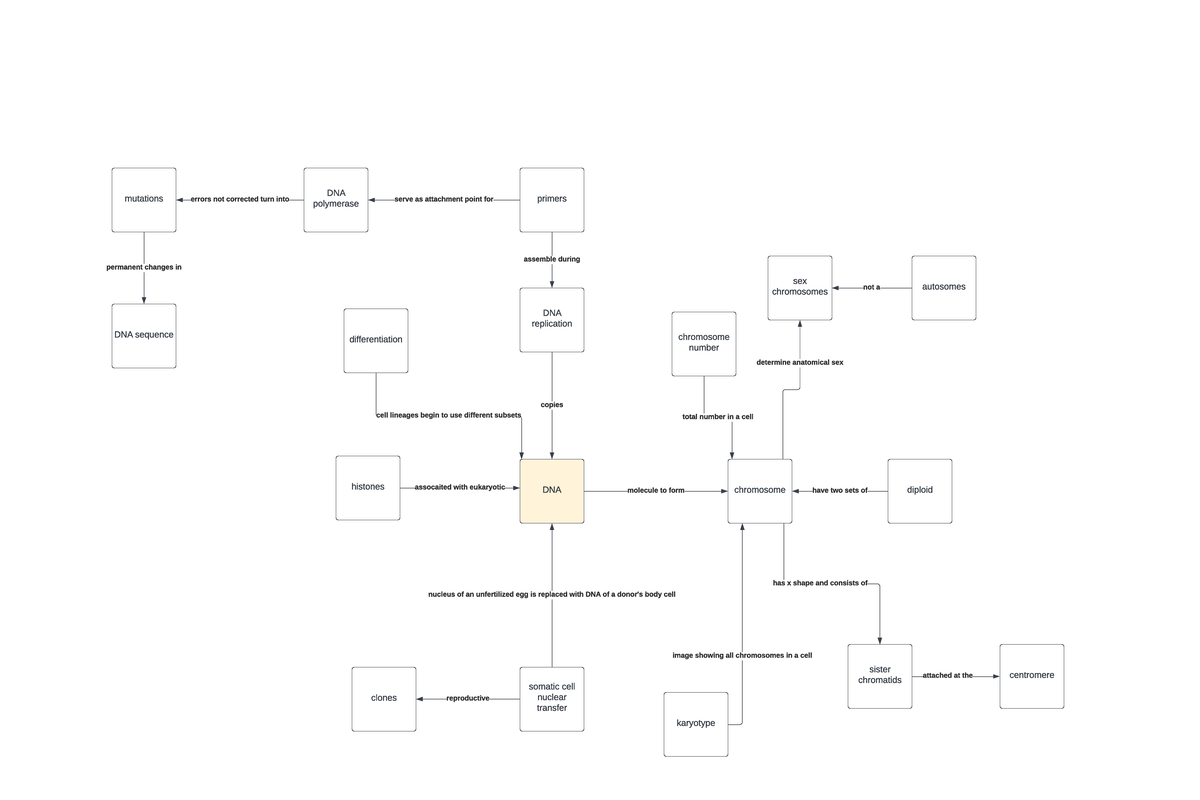 Chapter 7 Concept Map - clones somatic cell nuclear transfer DNA ...