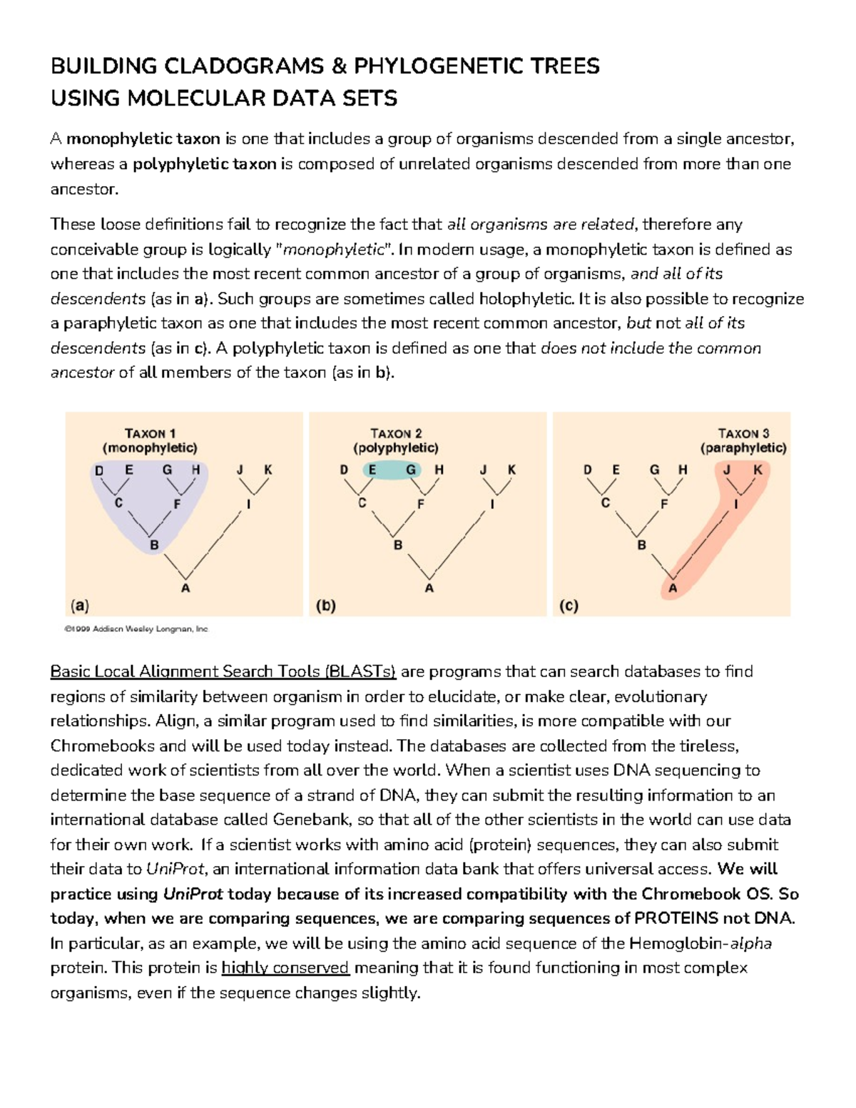 Blast lab 20221 practice lab BUILDING CLADOGRAMS &