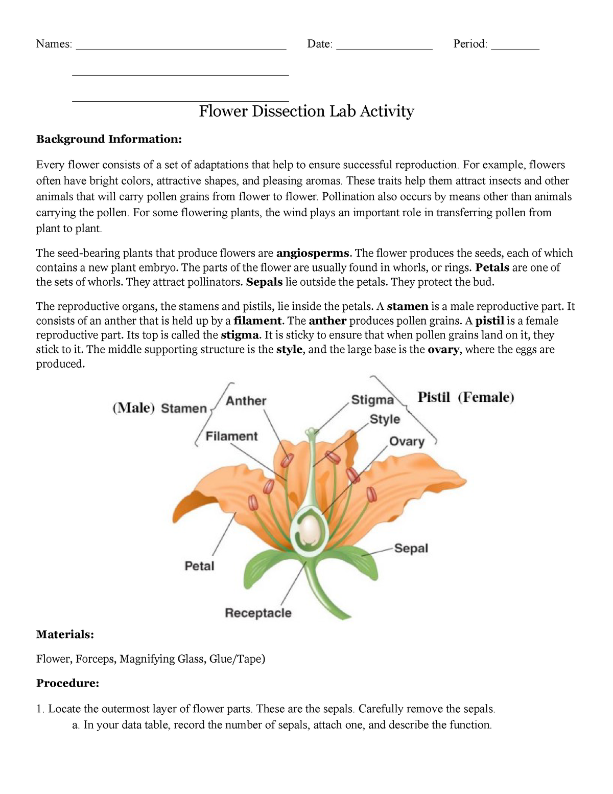 flower-dissection-lab-guide-names