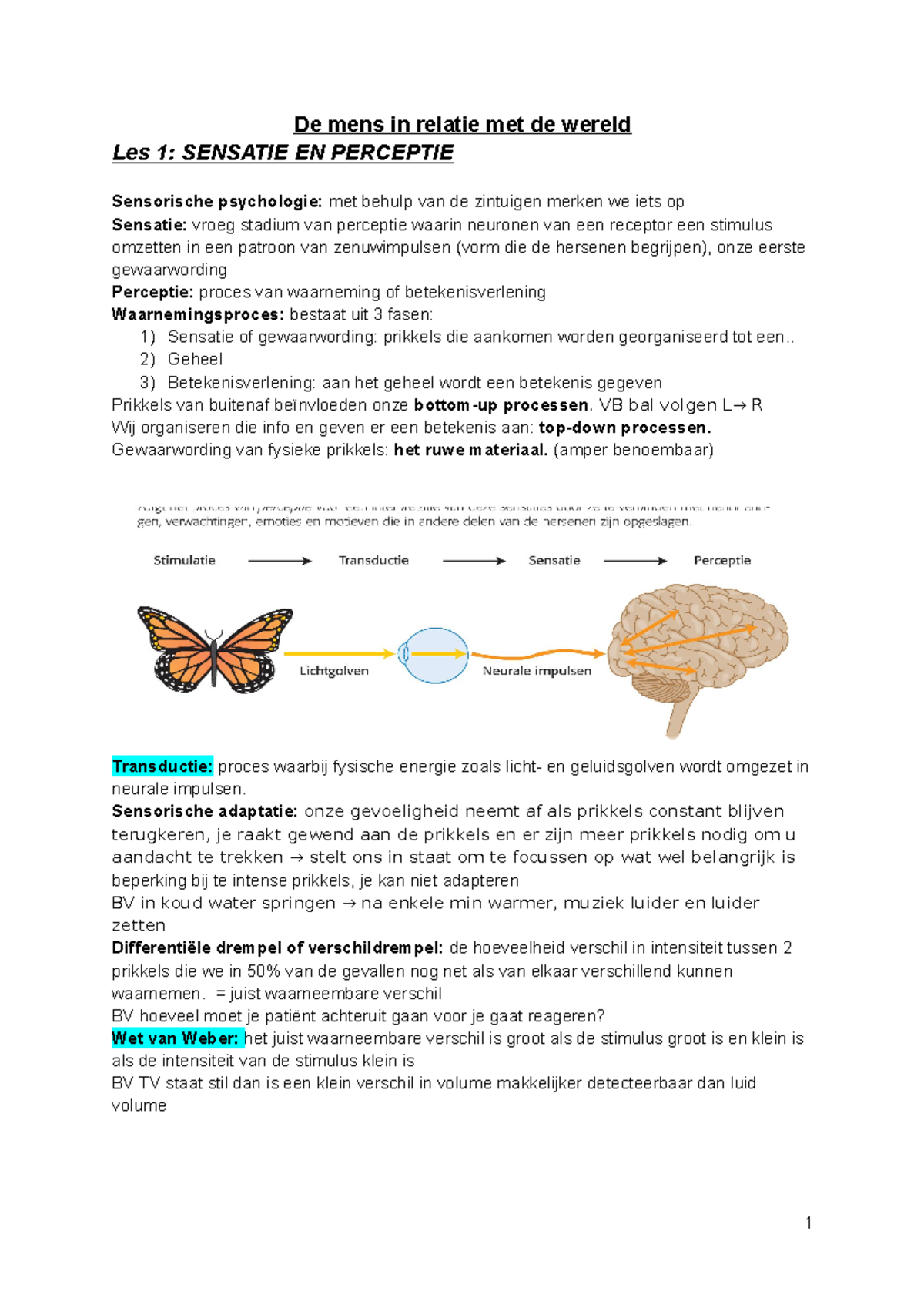 Psychologie De Mens In Relatie Met De Wereld - De Mens In Relatie Met ...