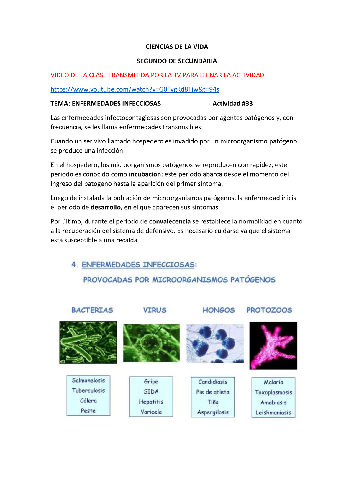 Enfermedades Infecciosas Actividad Ciencias De La Vida Segundo De Secundaria Video De La