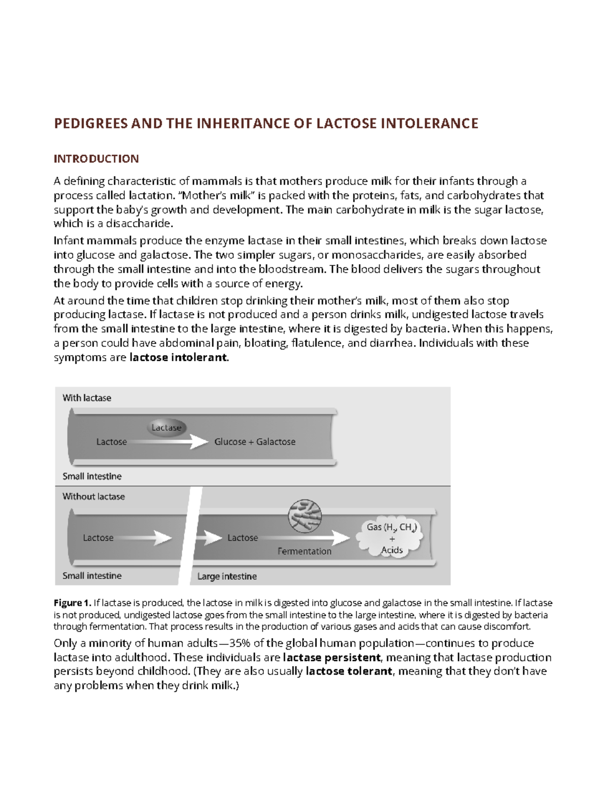 Lactose Intolerance Pedigree PEDIGREES AND THE INHERITANCE OF LACTOSE