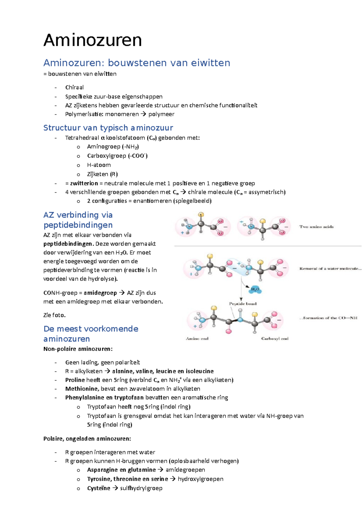 Samenvatting III.1 Aminozuren - Aminozuren Aminozuren: Bouwstenen Van ...
