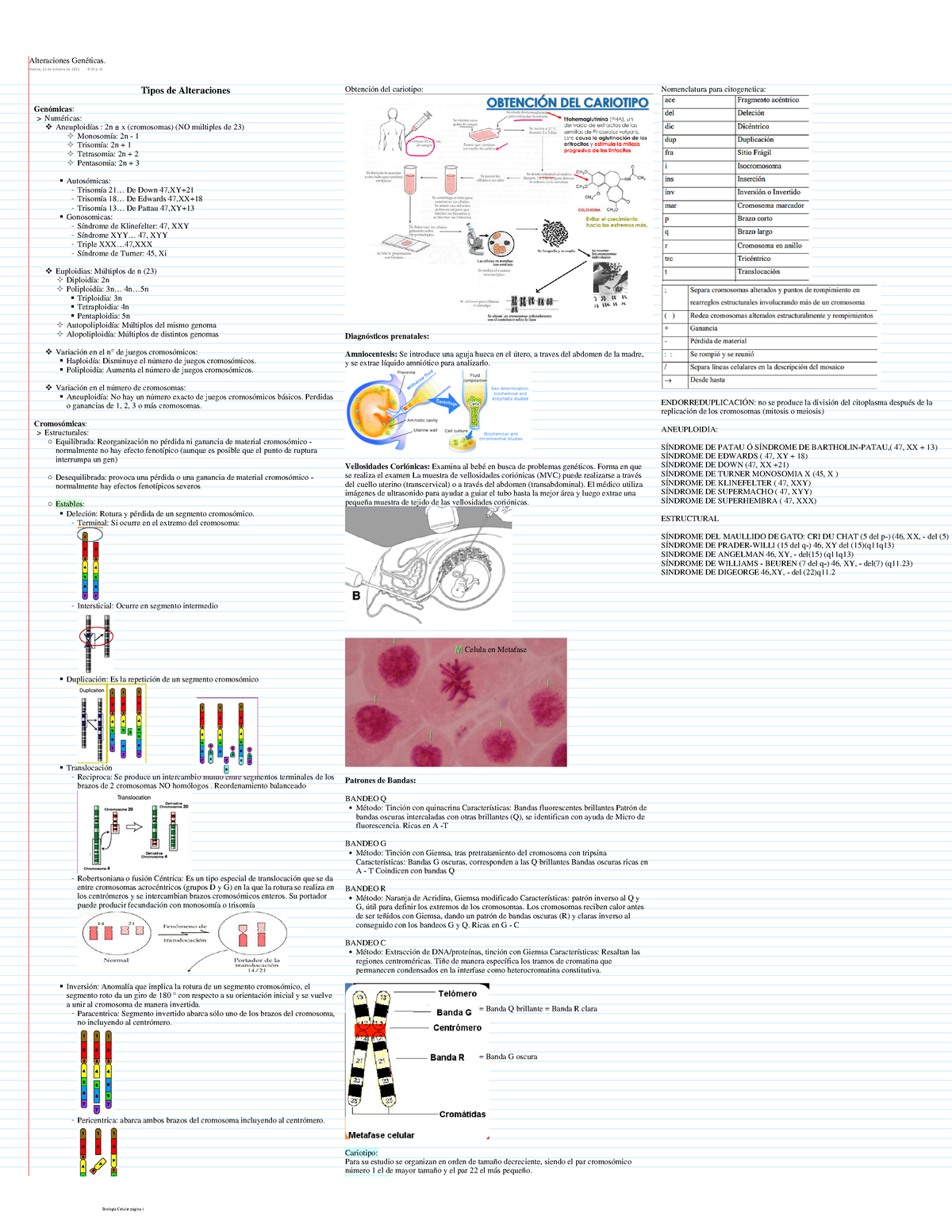 Alteraciones Geneticas - Anomalias Cromosomicas - Tipos De Alteraciones ...