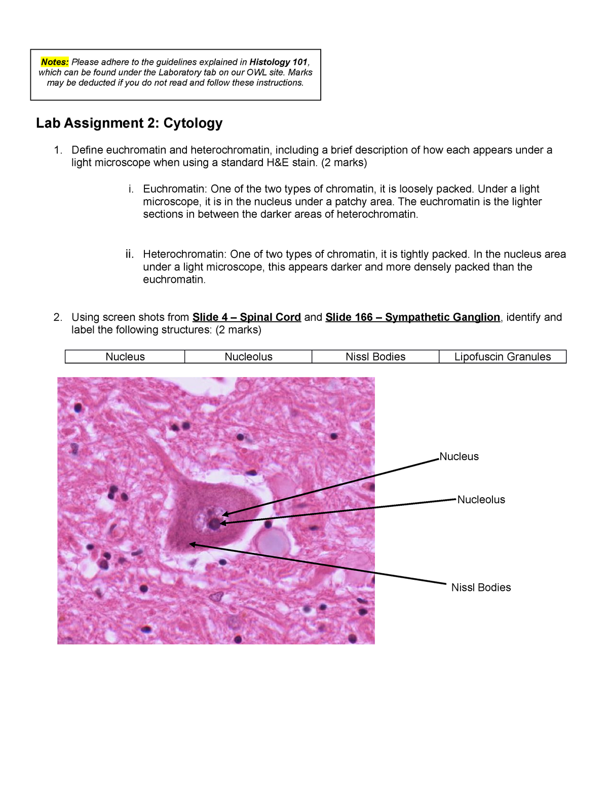 histology lab assignment
