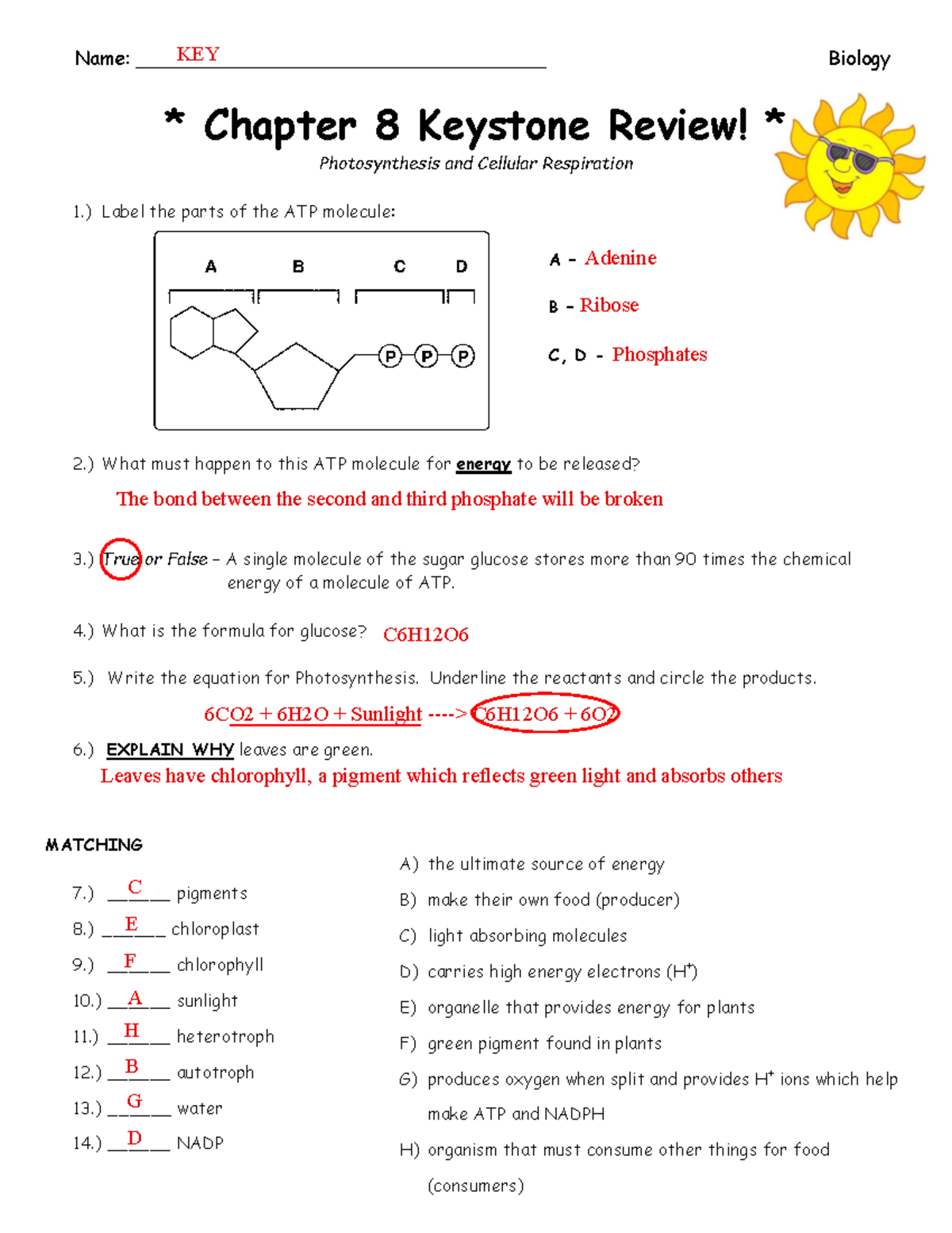 5K. Ch 8 Keystone Review KEY - Name ...