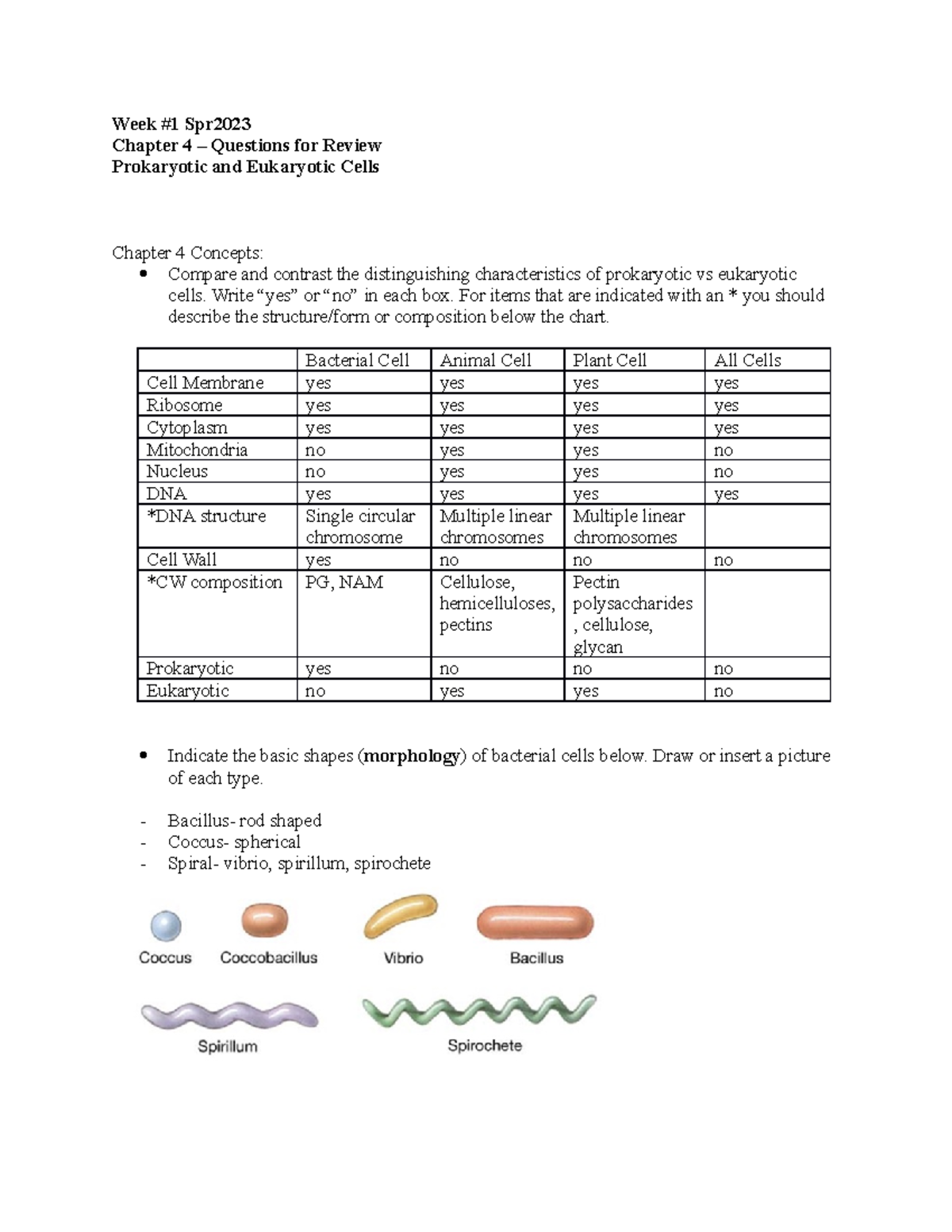 Bio 226 Week 1 Ch 4 Prok Cells Review Spr2023 - Week #1 Spr Chapter 4 ...