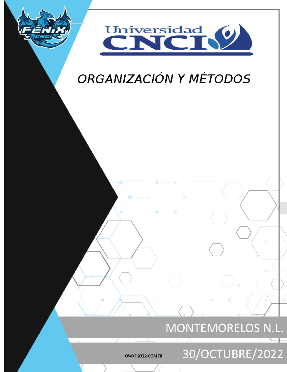 Organizacion Y Metodos Proyecto Modular Owxp2022 Com OrganizaciÓn Y