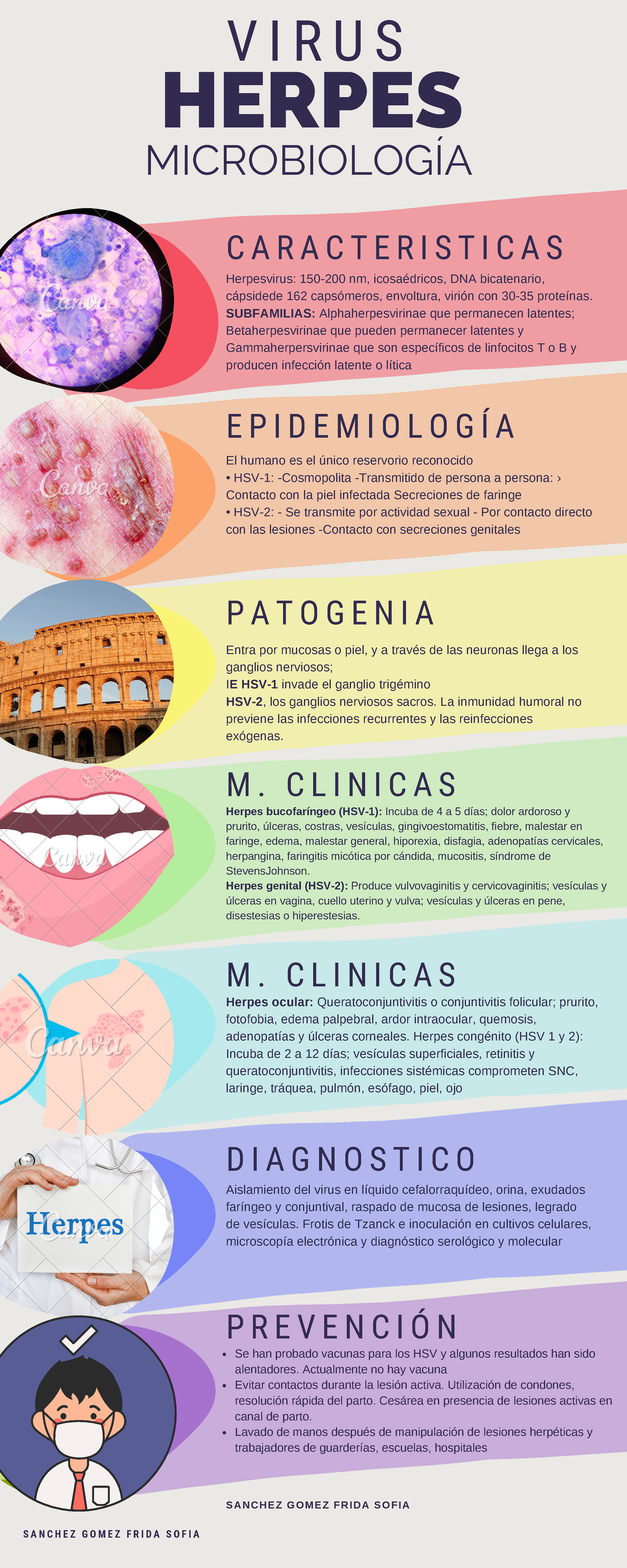 herpes-microbiolog-a-herpes-c-a-r-a-c-t-e-r-i-s-t-i-c-a-s-v-i-r-u-s-s