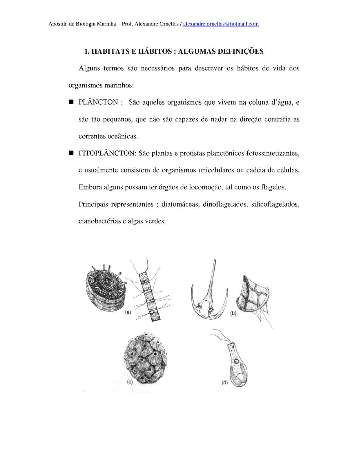 Apostila Biologia Marinha Print Habitats E H Bitos Algumas Defini Es Alguns Termos