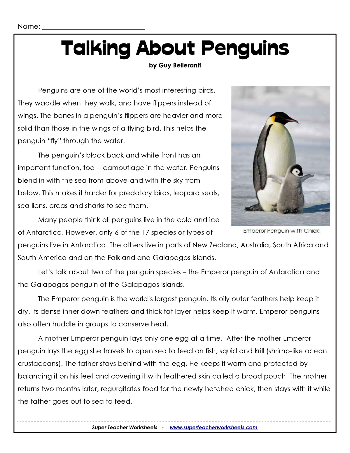 For penguins, leading or following might be more about relationships
