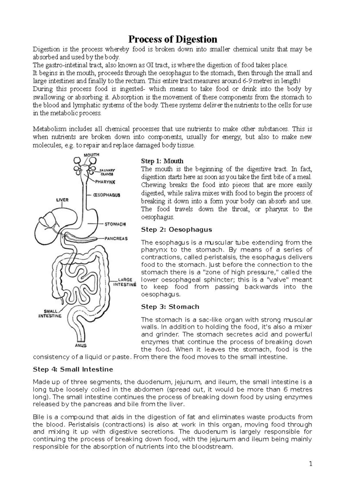 Process of digestion Process of Digestion Digestion is the process