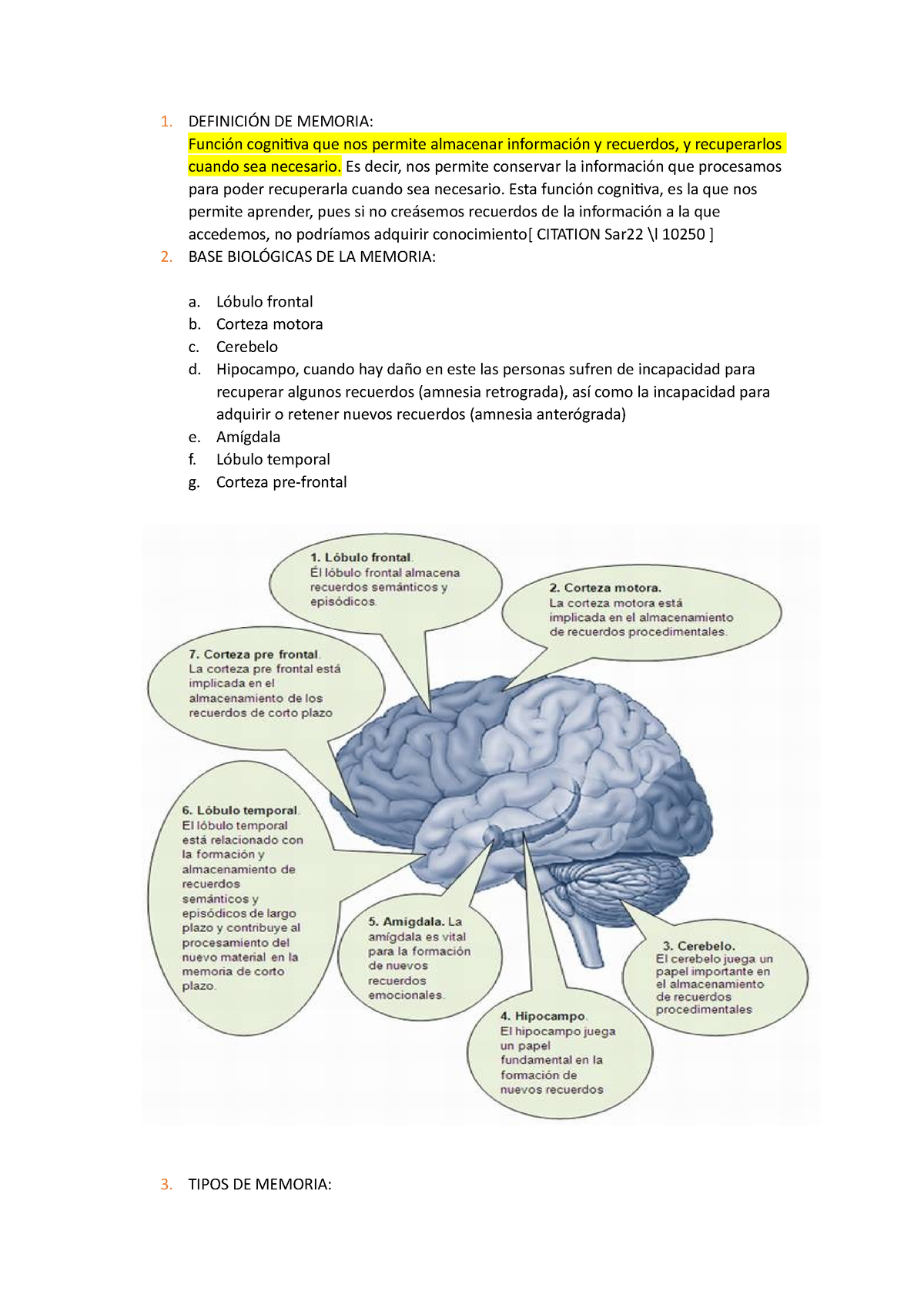 Memoria - APUNTES - 1. DEFINICIÓN DE MEMORIA: Función Cognitiva Que Nos ...