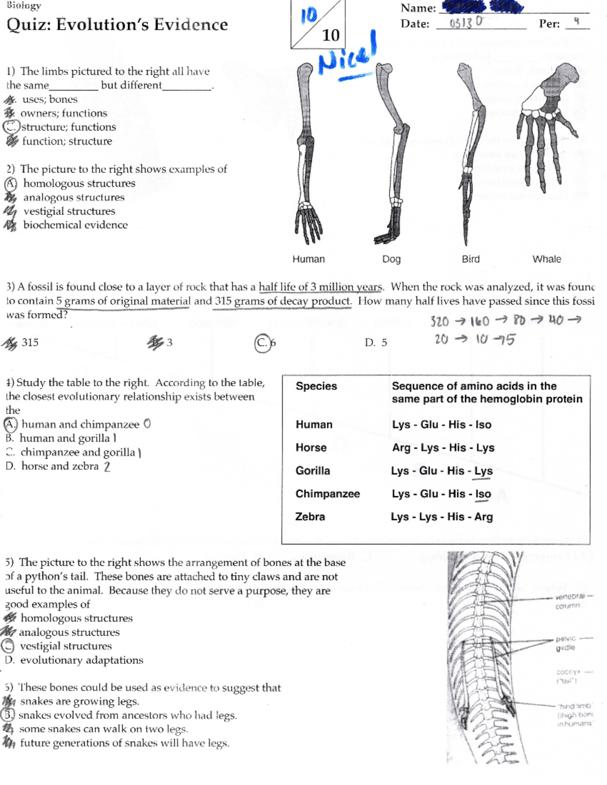 evidence-of-evolution-quiz-studocu