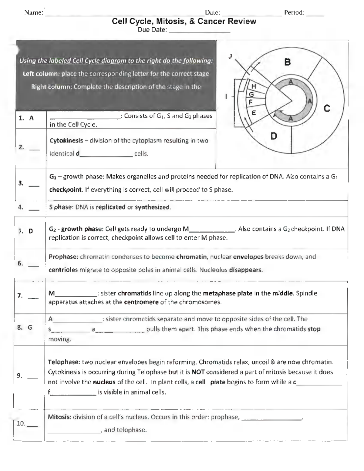 Cell cycle, mitosis and cancer review wksht - Name: Date: Period: Cell ...