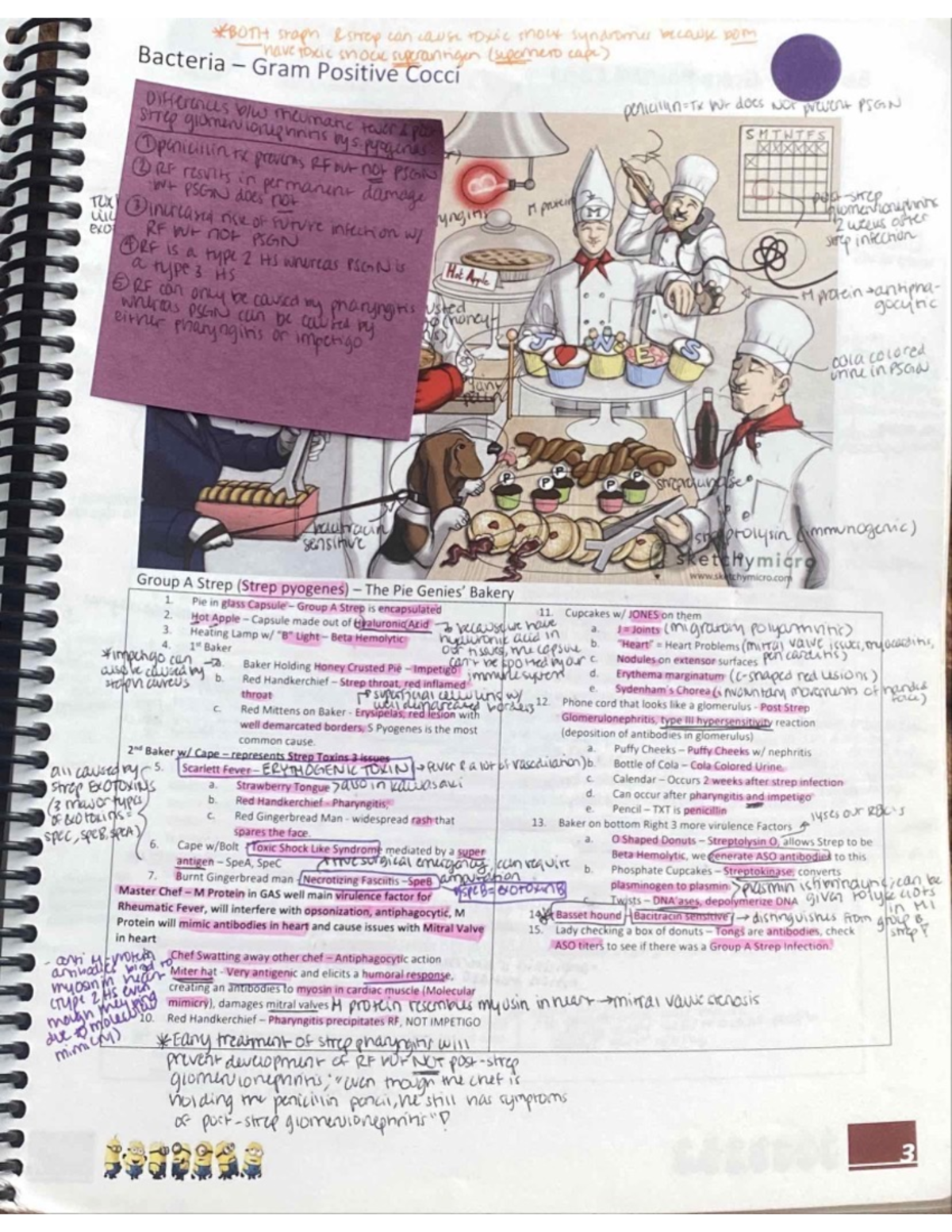 Microbiology bacteria- 3 - BIOL 235 - Studocu