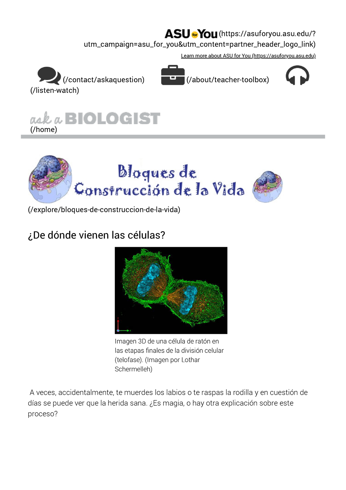 divisi-n-celular-mitosis-y-meiosis-ask-a-biologist-medicina-i-ucv