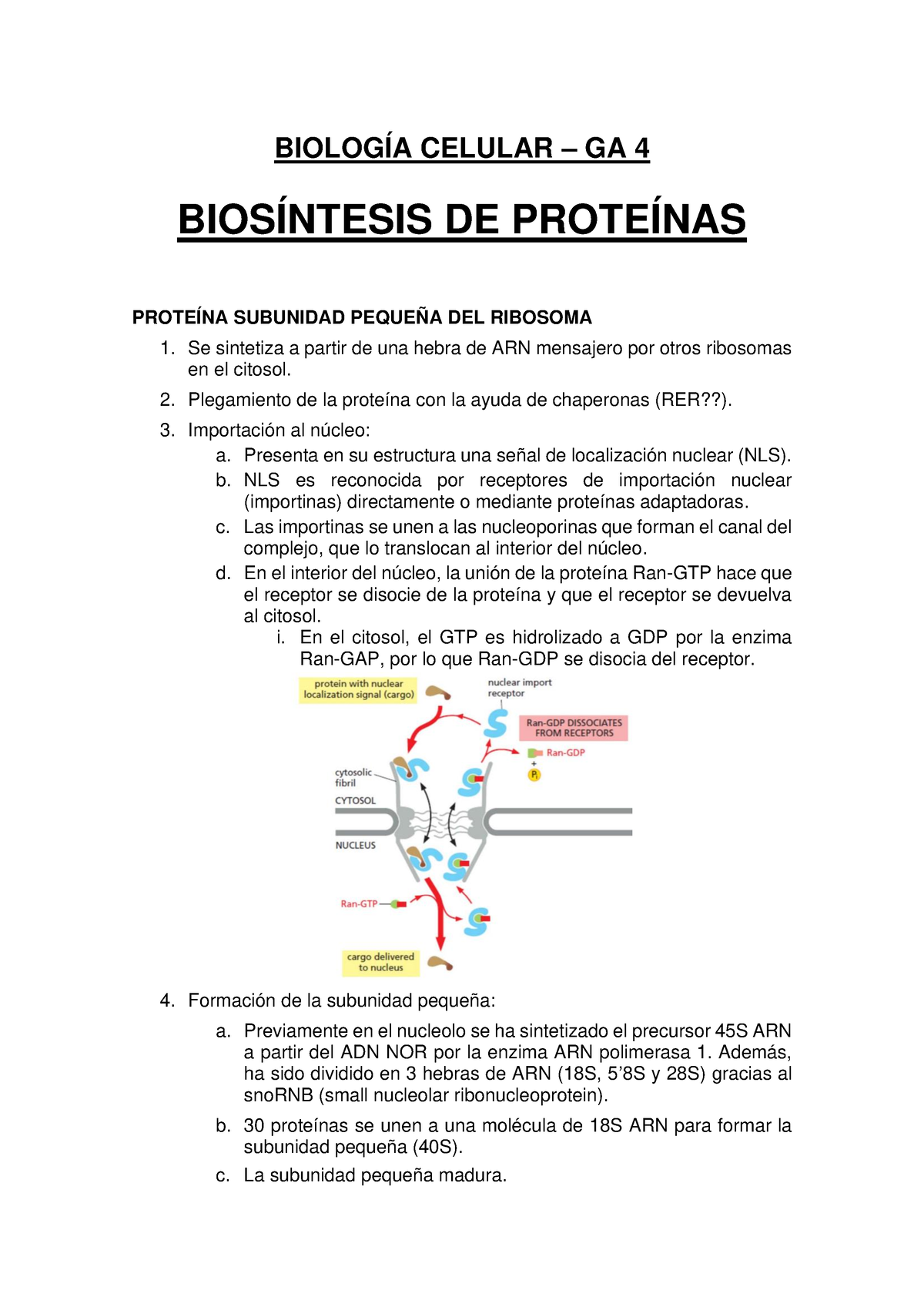 GA4 - Biosíntesis De Proteínas - BIOLOGÍA CELULAR – GA 4 BIOSÍNTESIS DE ...