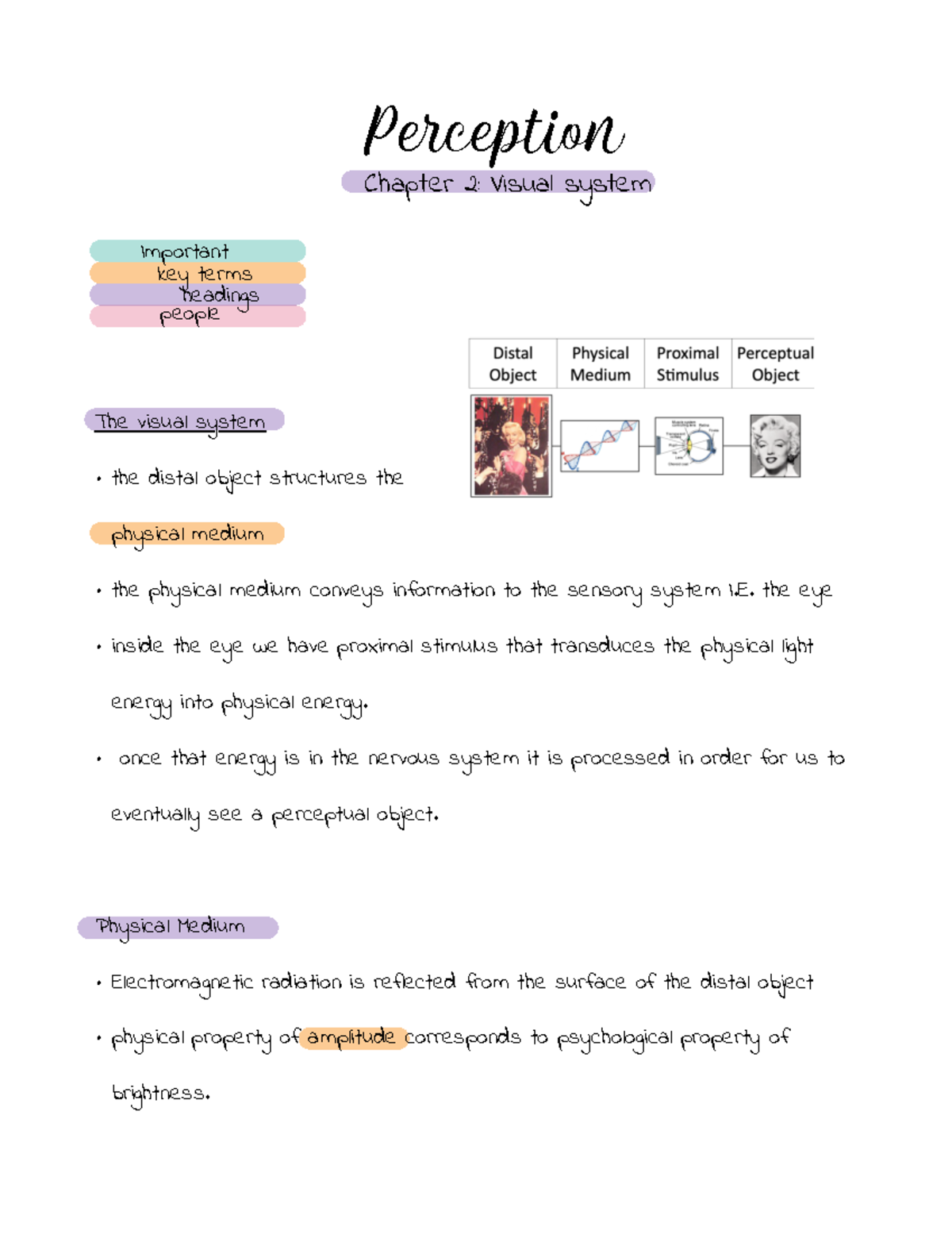 Jan 30 - Perception Lecture Notes - The Visual System The Distal Object ...