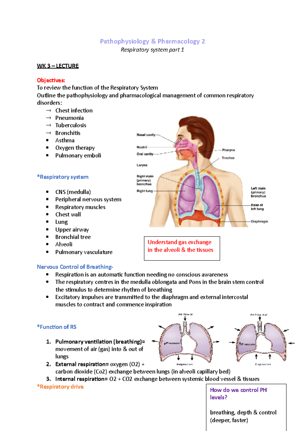 WK 3 - respiratory system part 1 - Pathophysiology & Pharmacology 2 ...