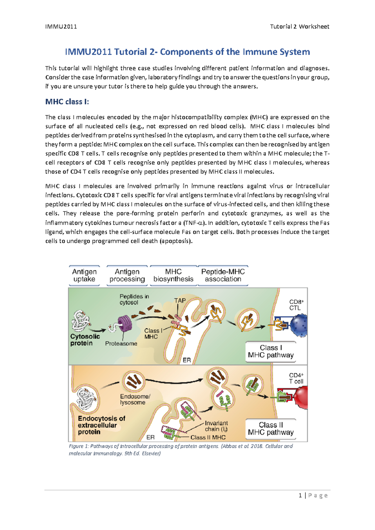 IMMU2011 +Tutorial+2+2024 - Figure 1 : Pathways of intracellular ...