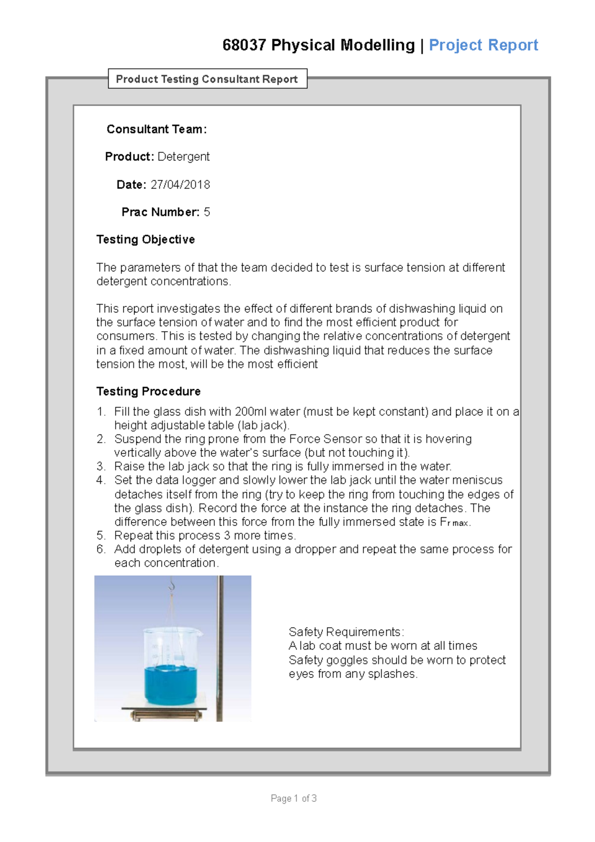 Detergent Lab Lab Report 68037 Physical Modelling Project Report