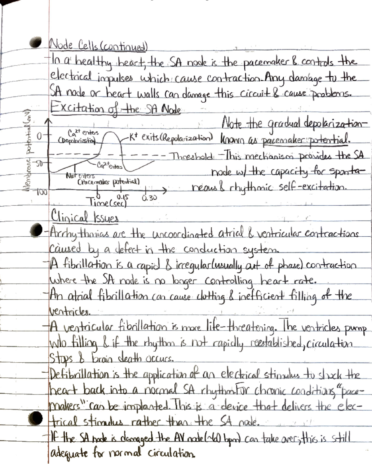 Physiology Notes - BIO ENG 110 - Studocu